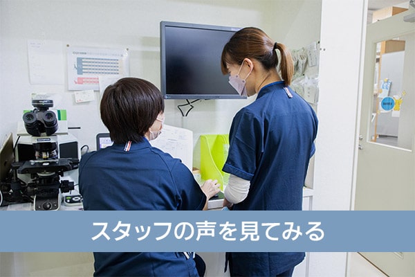 動物病院のスタッフの声