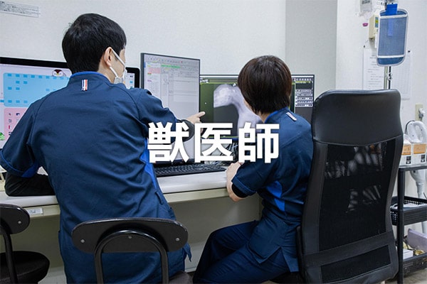 獣医師の採用・求人