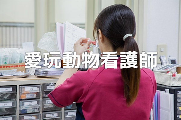 動物看護士の採用・求人