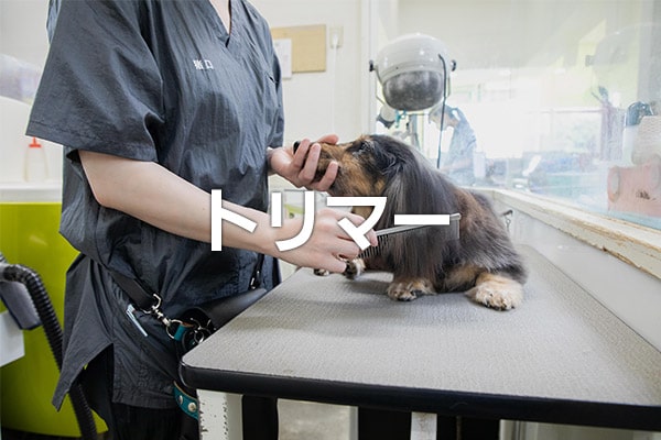 動物トリマーの採用・求人